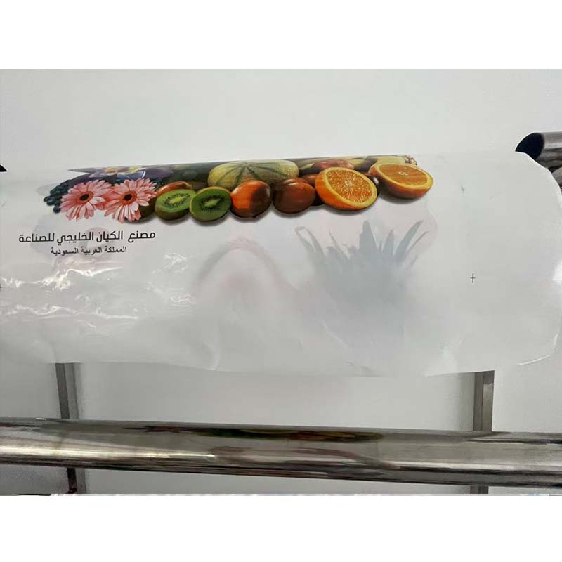 HIGH QUALITY 2 Colours Flexo   - Printer Paper ulasan dan harga