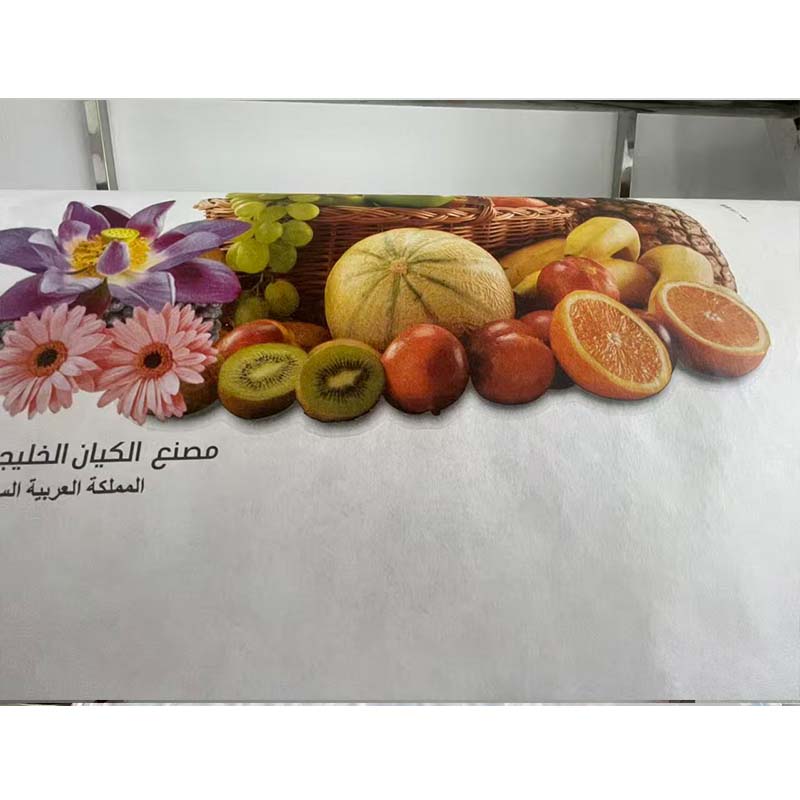 HIGH QUALITY 2 Colours Flexo   - Printer Paper ulasan dan harga